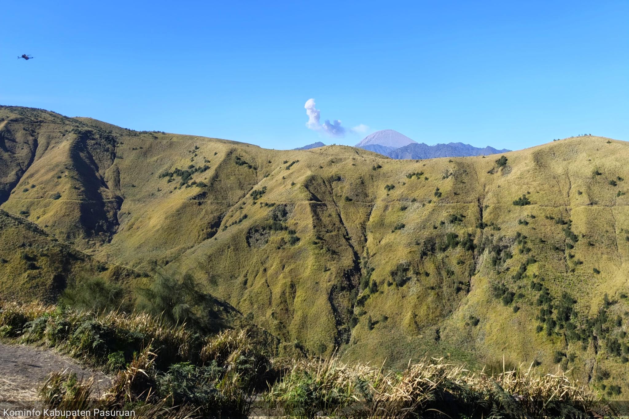 Bukit Premium Sabana Hijau Nan Mempesona di Lereng Barat Bromo